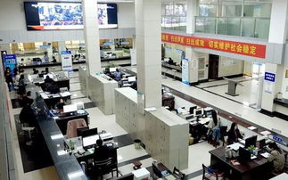 推進互聯網政務服務，洪湖辦事將像網購一樣便捷