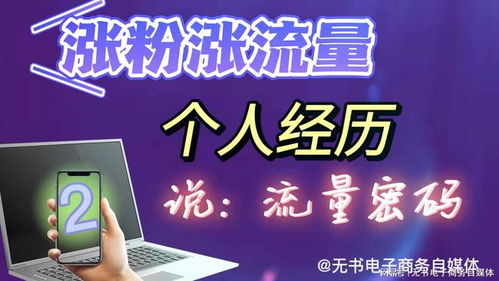 從零到千粉 我的三次漲粉經歷與對互聯網流量密碼的思考