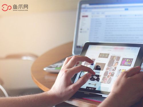 魚爪網的堅持與發展 個人互聯網服務的匠心之路